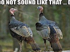 Image result for Dirty Turkey Hunting Memes
