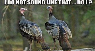 Image result for Turkey Hunting Open Season Meme