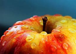 Image result for Autumn Apple in Your Neck