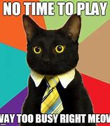 Image result for Busy Season Cat Meme
