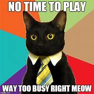 Image result for busy cats memes