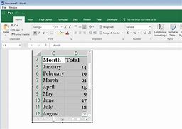 Image result for How to Put a Word Document in Excel