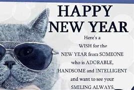 Image result for Funny Happy New Year 2018