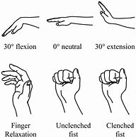 Image result for Neutral Grip Handle