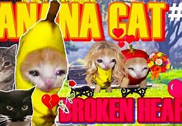 Image result for Banana Cat Holding Heart Meme