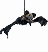 Image result for Halloween Bat Prop