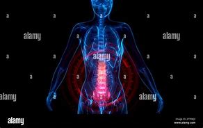 Image result for Reddish Line Running Down the Bottom Half of Spine On Surface NHS Photographs