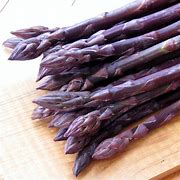 Image result for Asparagus officinalis Purple