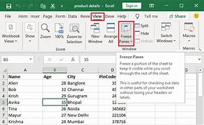 Image result for Pane in Excel Definition