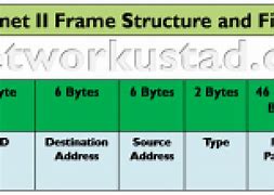 Image result for Type Field in Ethernet Frame