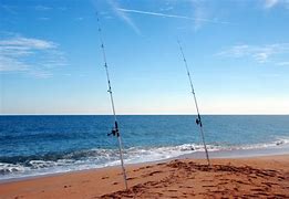 Image result for Saltwater Surf Fishing Lures