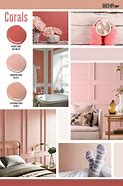 Image result for coral colors schemes
