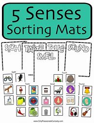 Image result for Five Senses Sorting Worksheet