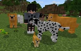 Image result for Domestic Pets Mod