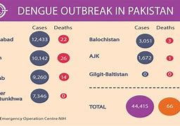 Image result for Dengue Recent News