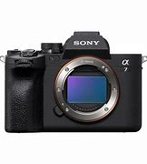 Image result for Disp Button in Sony Alpha
