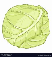 Image result for Cabbage Cartoon