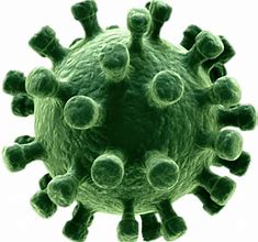 Image result for Covid 19 Virus PNG