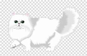 Image result for Persian Cat Meme