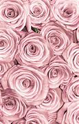 Image result for Rose Gold Flower Desktop