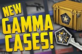 Image result for Gamma 2 Case Items