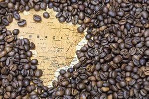 Image result for Brazilian Coffee Company