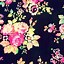 Image result for Girly iPhone 5 Lock Screen Wallpaper