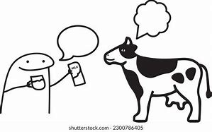 Image result for Dairy Cow Meme