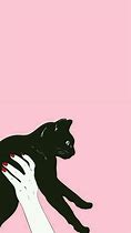 Image result for Black Cat Desktop