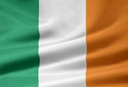 Image result for Irish Flag