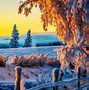 Image result for Beautiful Wallpapers for Laptop