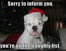 Image result for Hilarious Dog Funny Christmas Memes