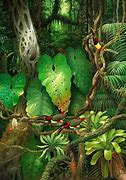 Image result for Tree in the Jungle Art