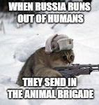 Image result for Russian Cat Meme
