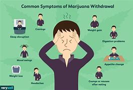 Image result for Visible Signs of Marijuana Use