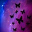 Image result for iPhone 11 Wallpaper Butterflies