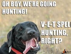Image result for Funny Duck Hunting Memes