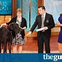 Image result for Biggest Dog in the World Zeus