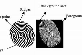 Image result for Function of a Fingerprint Scanner