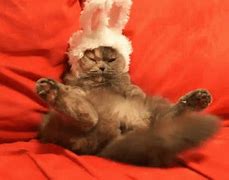 Image result for Funny Easter GIF Bunny Memes