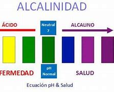 Image result for alcalinidqd