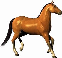 Image result for Transparent Horse Low Poly
