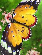 Image result for Most Beautiful Butterfly Art