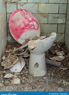 Image result for Broken Toilet Crafts