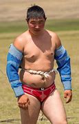 Image result for Mongolian Mauler Wrestler