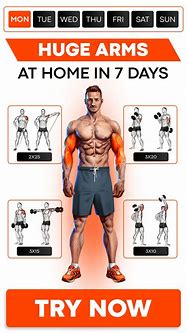 Image result for Find Good Arm Workout Plans