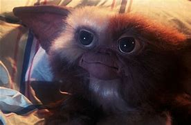Image result for Gremlins Characters Gizmo
