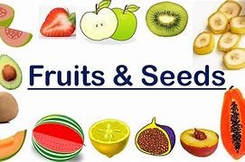 Image result for 1 Seed Fruits