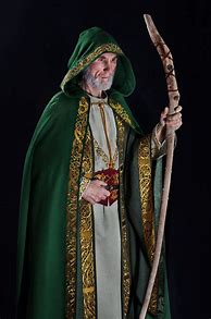 Image result for Medieval Wizard