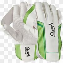 Image result for Cricket Wicket keeper Gloves